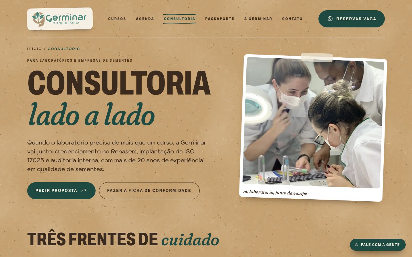 Página de consultoria