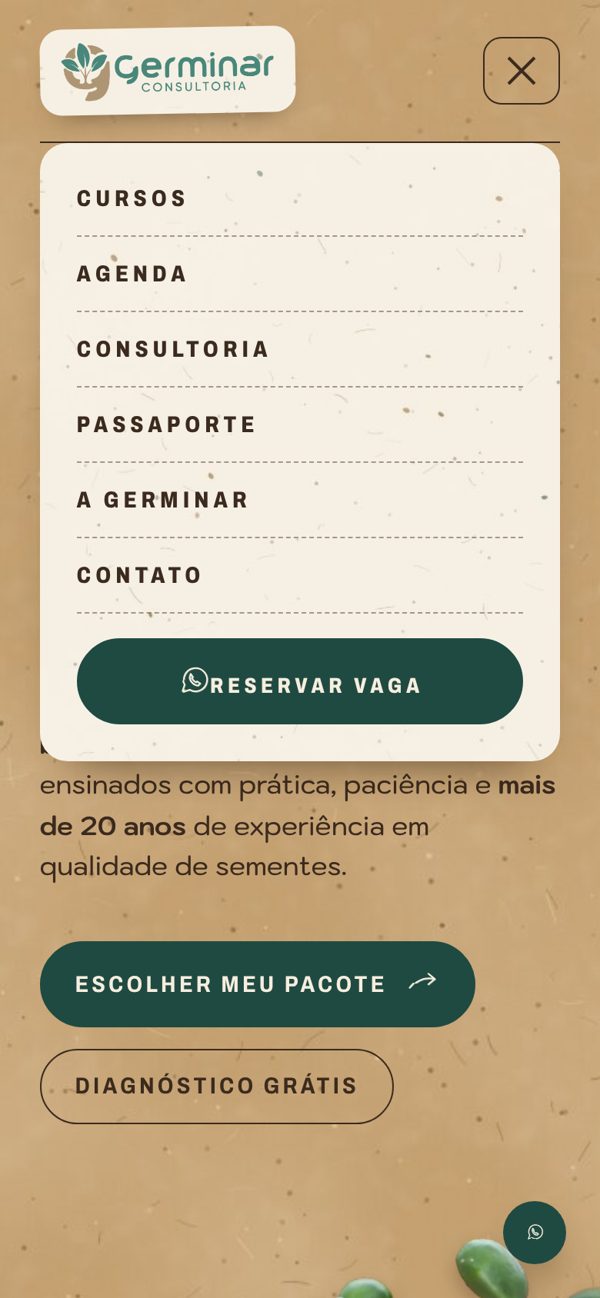 Menu no celular